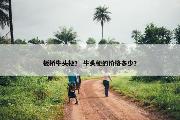 板桥牛头梗？ 牛头梗的价格多少？
