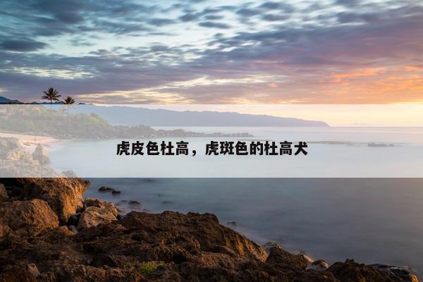 虎皮色杜高，虎斑色的杜高犬