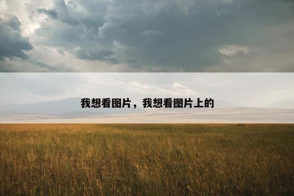 我想看图片，我想看图片上的