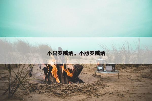 小只罗威纳，小版罗威纳