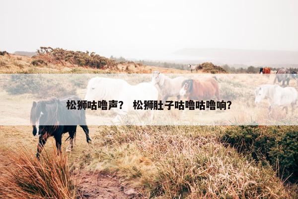 松狮咕噜声？ 松狮肚子咕噜咕噜响？