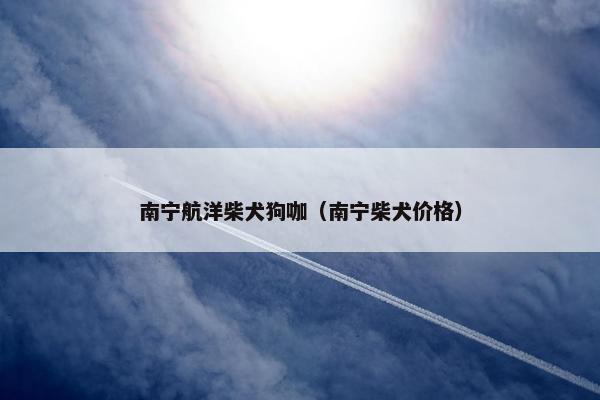 南宁航洋柴犬狗咖（南宁柴犬价格）