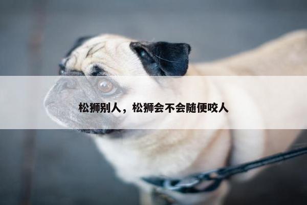 松狮别人，松狮会不会随便咬人