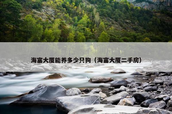 海富大厦能养多少只狗（海富大厦二手房）