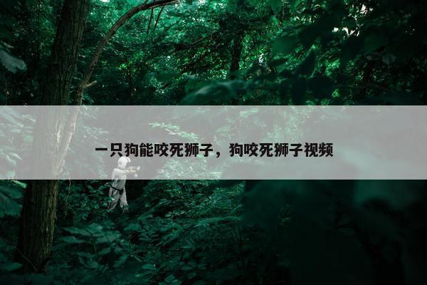 一只狗能咬死狮子，狗咬死狮子视频