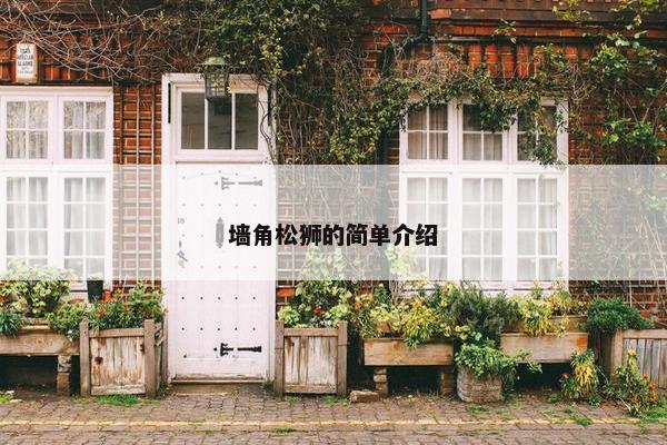 墙角松狮的简单介绍