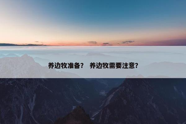 养边牧准备？ 养边牧需要注意？