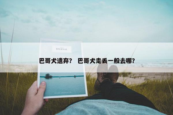 巴哥犬遗弃？ 巴哥犬走丢一般去哪？