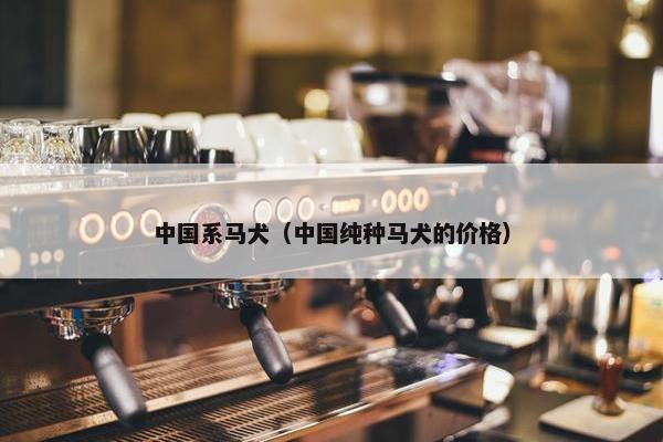 中国系马犬（中国纯种马犬的价格）