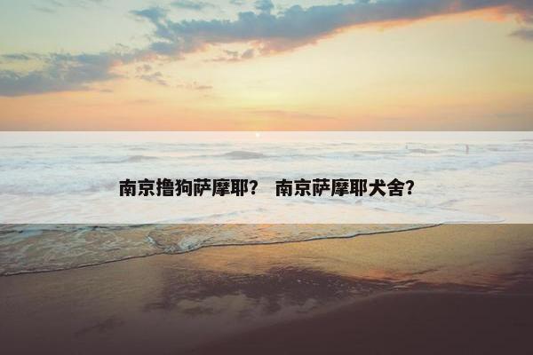 南京撸狗萨摩耶？ 南京萨摩耶犬舍？