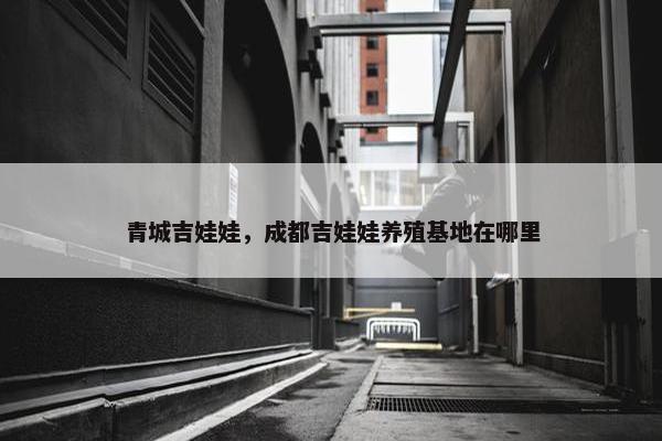 青城吉娃娃，成都吉娃娃养殖基地在哪里