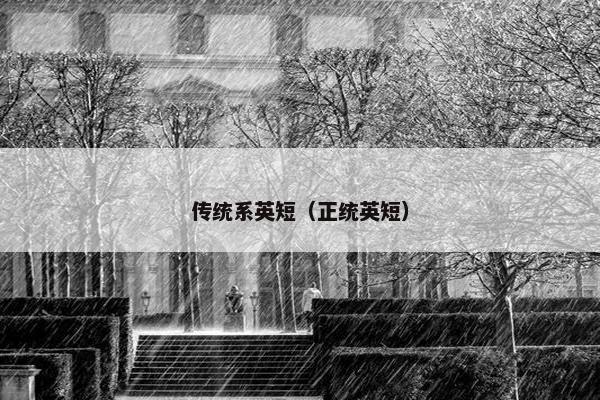 传统系英短（正统英短）