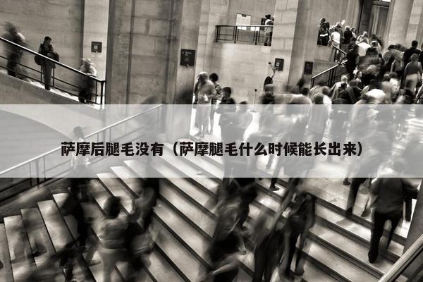 萨摩后腿毛没有（萨摩腿毛什么时候能长出来）