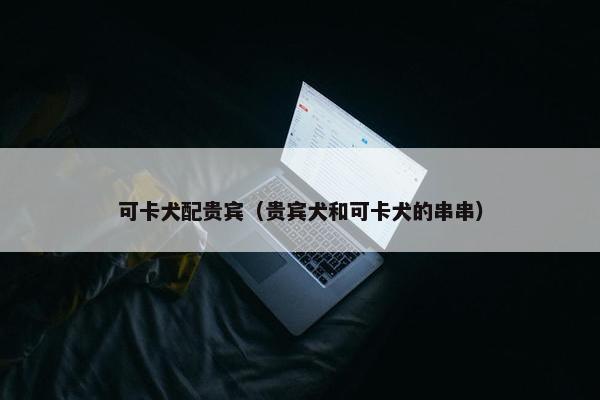 可卡犬配贵宾（贵宾犬和可卡犬的串串）