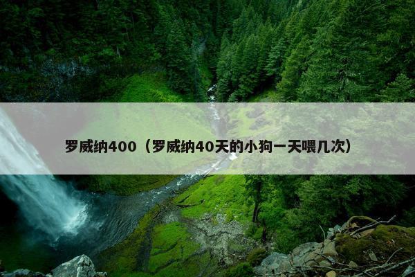 罗威纳400（罗威纳40天的小狗一天喂几次）