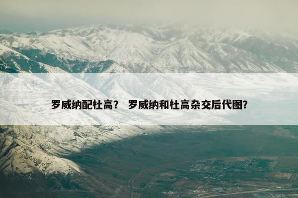 罗威纳配杜高？ 罗威纳和杜高杂交后代图？