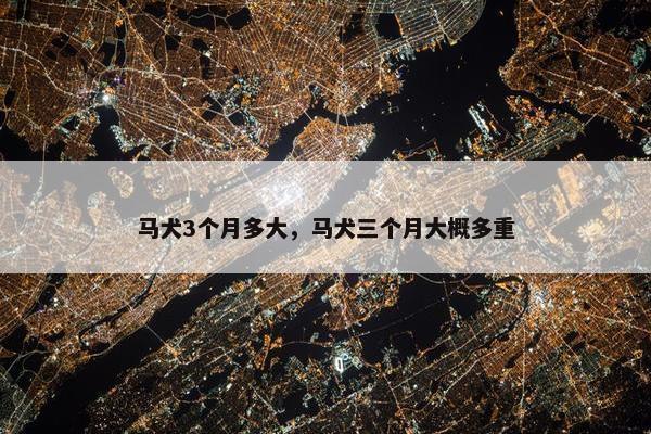 马犬3个月多大，马犬三个月大概多重