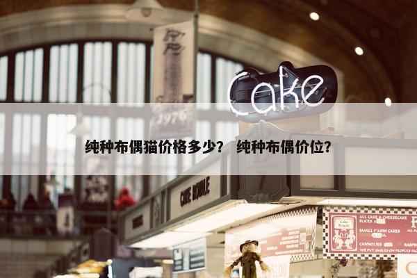 纯种布偶猫价格多少？ 纯种布偶价位？