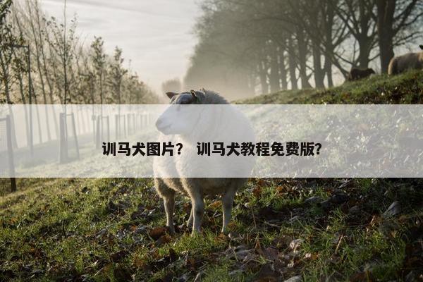 训马犬图片？ 训马犬教程免费版？