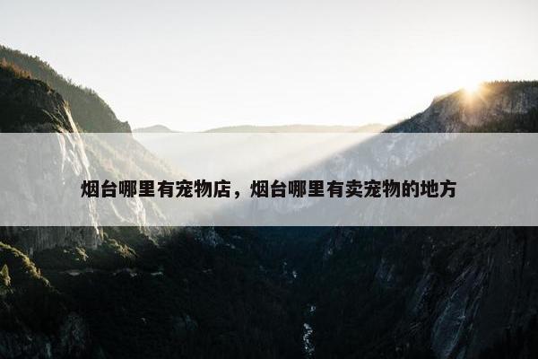 烟台哪里有宠物店，烟台哪里有卖宠物的地方
