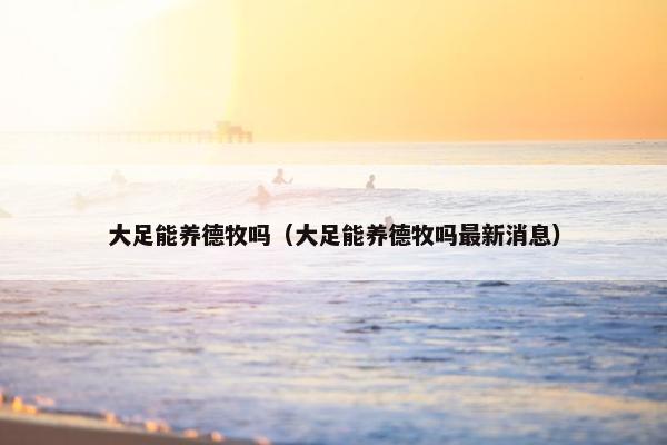 大足能养德牧吗（大足能养德牧吗最新消息）