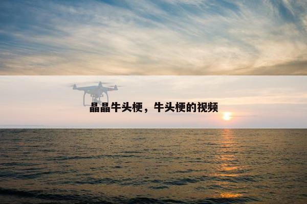 晶晶牛头梗，牛头梗的视频