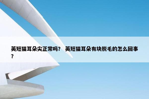 英短猫耳朵尖正常吗？ 英短猫耳朵有块脱毛的怎么回事？