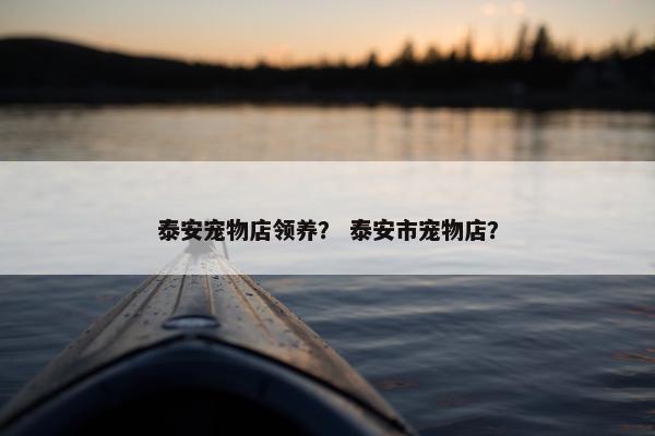泰安宠物店领养？ 泰安市宠物店？