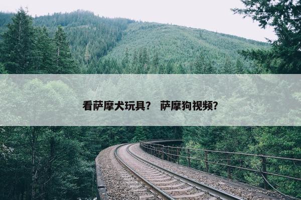 看萨摩犬玩具？ 萨摩狗视频？