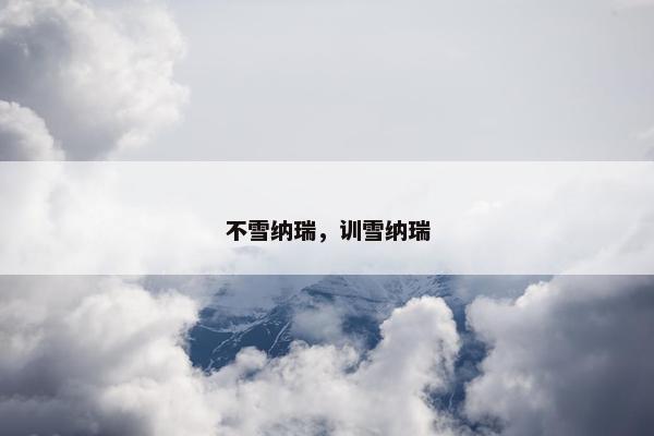 不雪纳瑞，训雪纳瑞