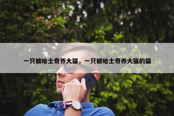 一只被哈士奇养大猫，一只被哈士奇养大猫的猫