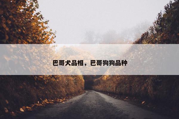 巴哥犬品相，巴哥狗狗品种
