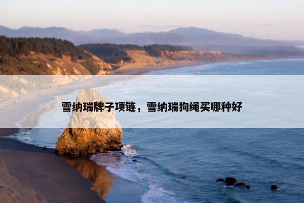 雪纳瑞牌子项链，雪纳瑞狗绳买哪种好