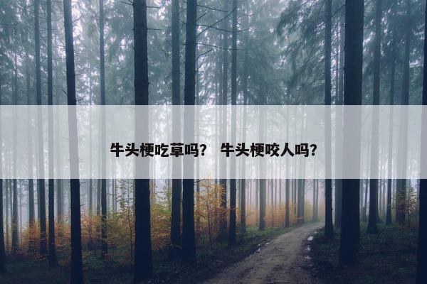 牛头梗吃草吗？ 牛头梗咬人吗？