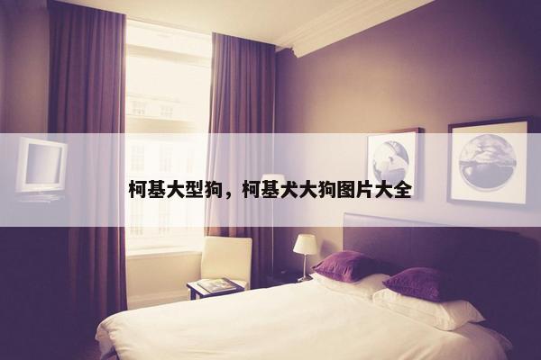 柯基大型狗，柯基犬大狗图片大全