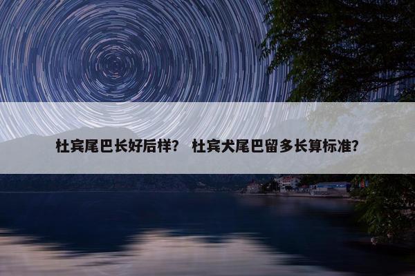 杜宾尾巴长好后样？ 杜宾犬尾巴留多长算标准？