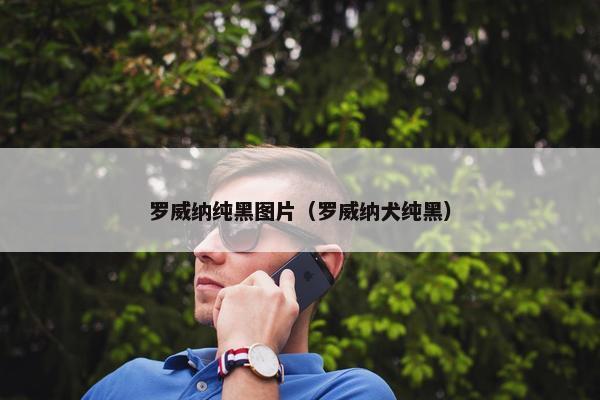 罗威纳纯黑图片（罗威纳犬纯黑）