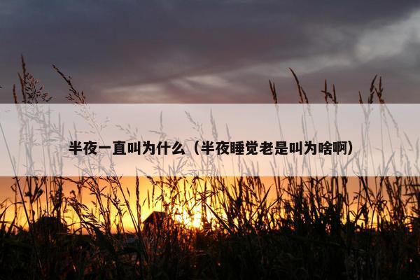 半夜一直叫为什么（半夜睡觉老是叫为啥啊）