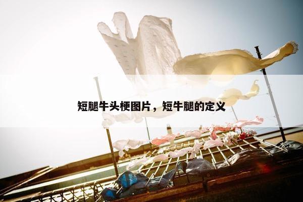短腿牛头梗图片，短牛腿的定义
