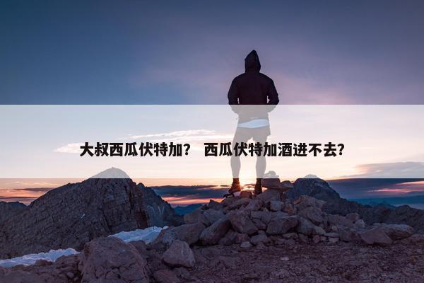 大叔西瓜伏特加？ 西瓜伏特加酒进不去？