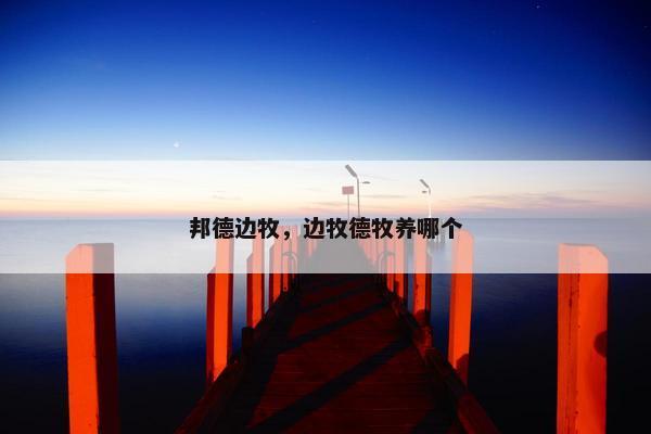 邦德边牧，边牧德牧养哪个