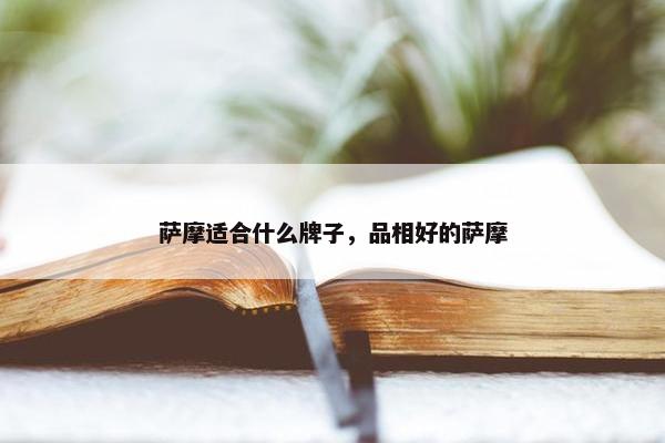 萨摩适合什么牌子，品相好的萨摩