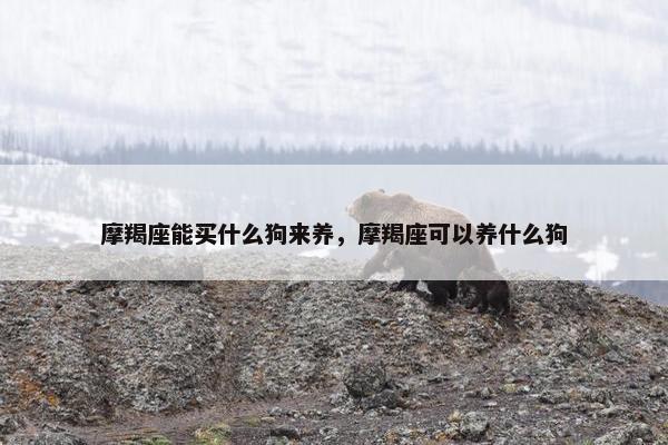 摩羯座能买什么狗来养，摩羯座可以养什么狗