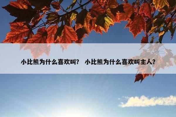 小比熊为什么喜欢叫？ 小比熊为什么喜欢叫主人？
