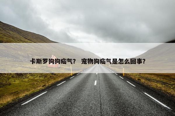 卡斯罗狗狗疝气？ 宠物狗疝气是怎么回事？