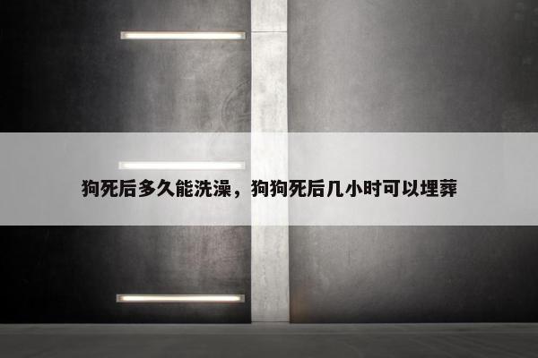 狗死后多久能洗澡，狗狗死后几小时可以埋葬