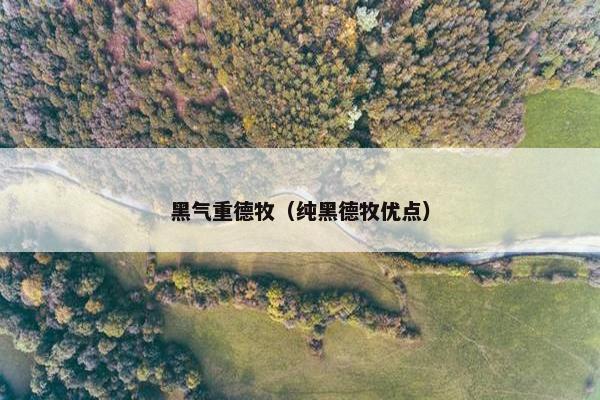 黑气重德牧（纯黑德牧优点）