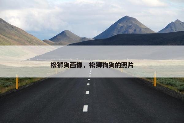 松狮狗画像，松狮狗狗的照片