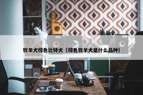 牧羊犬棕色比特犬（棕色牧羊犬是什么品种）