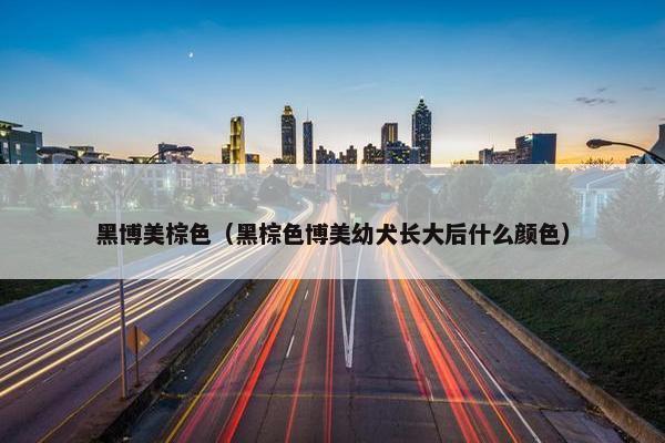 黑博美棕色（黑棕色博美幼犬长大后什么颜色）